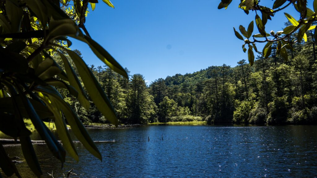 Cliffside Lake & Van Hook Glade