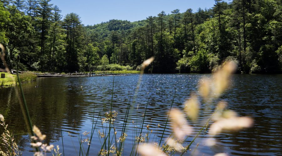Cliffside Lake