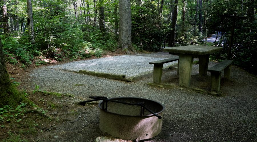 Van Hook Single Camp Space