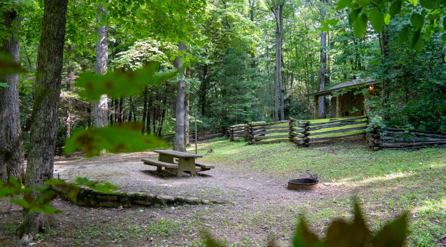 Carolina Hemlocks Campsite Picnic Table