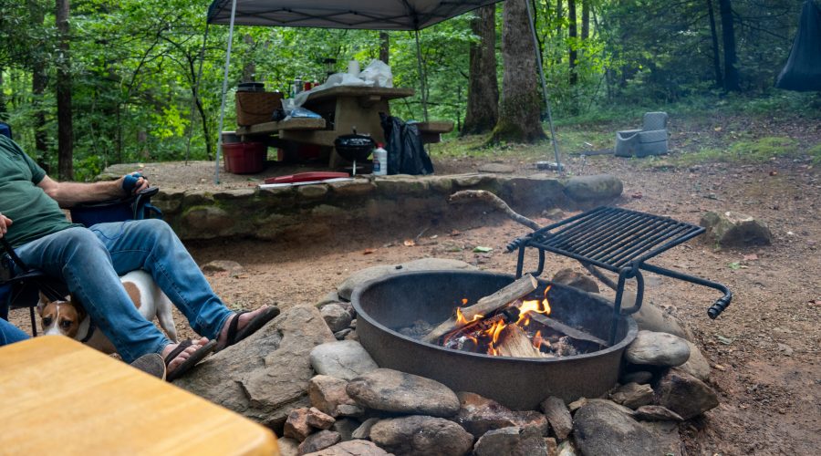 Carolina Hemlocks Campfire