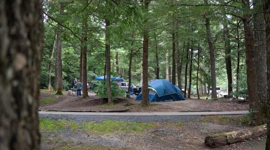 Carolina Hemlocks Tent