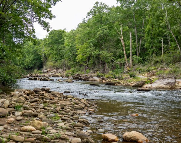 Carolina Hemlocks River