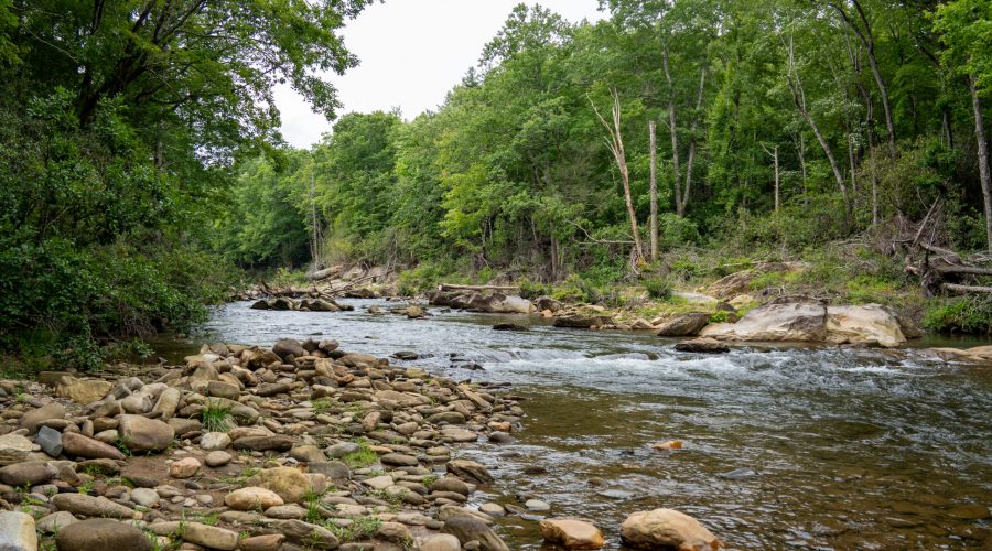 Carolina Hemlocks River