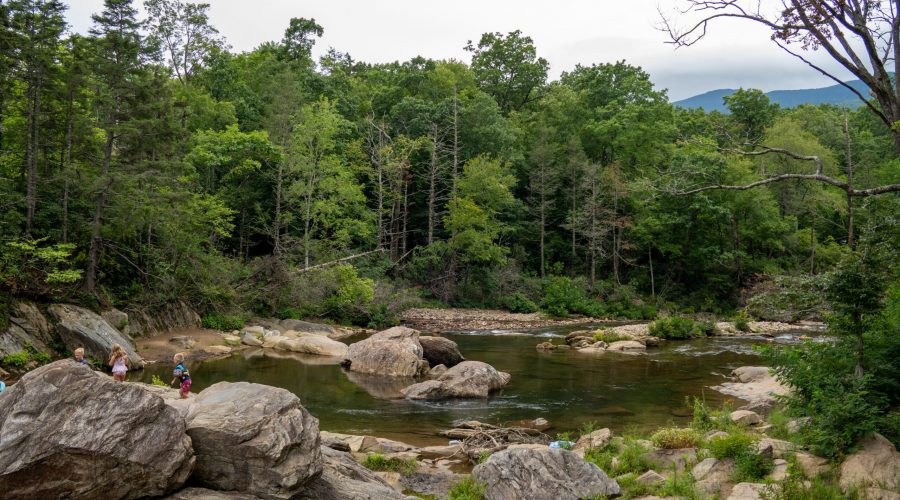 Carolina Hemlocks South Toe River
