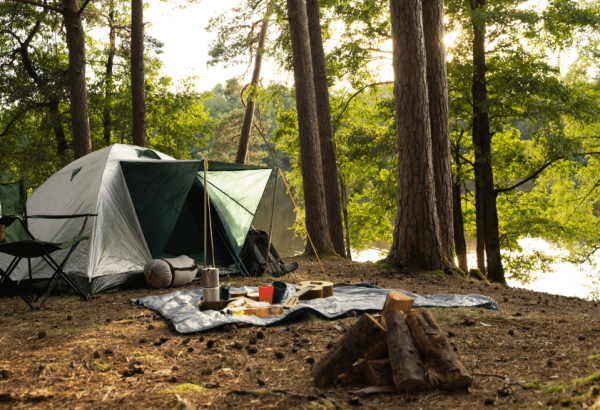 Camp Site